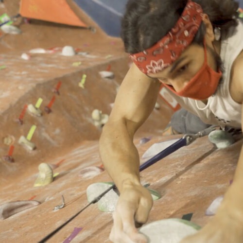 imgi_11_Header-1-500x500